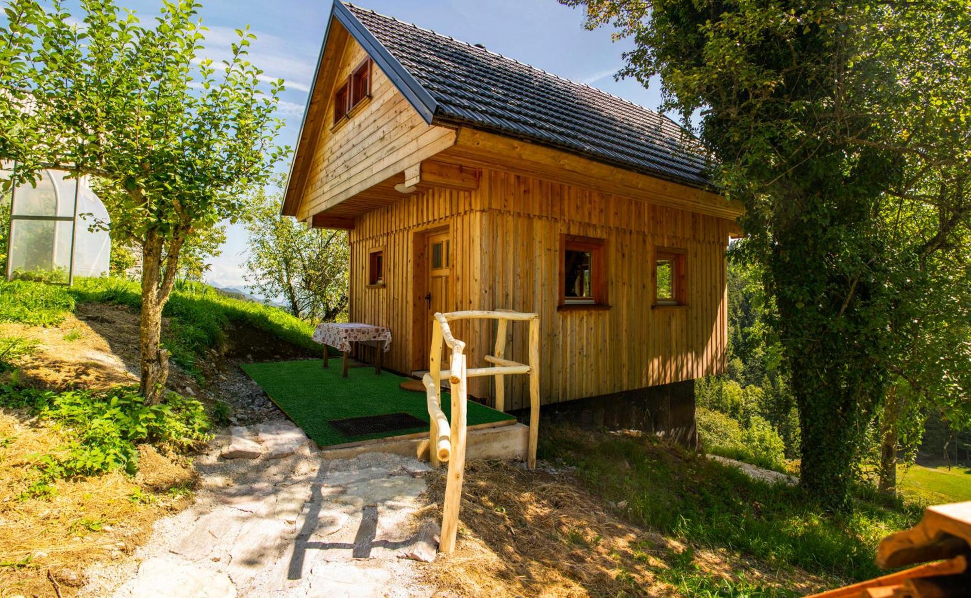 Wooden Chalet - Homestead Vrhovc زلزنيكي المظهر الخارجي الصورة